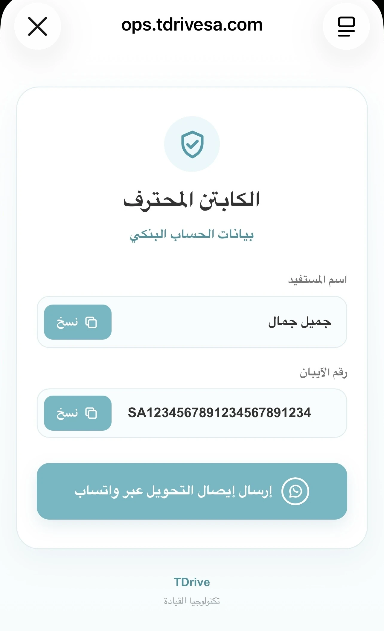 بيانات الحساب البنكي القابلة للنسخ
